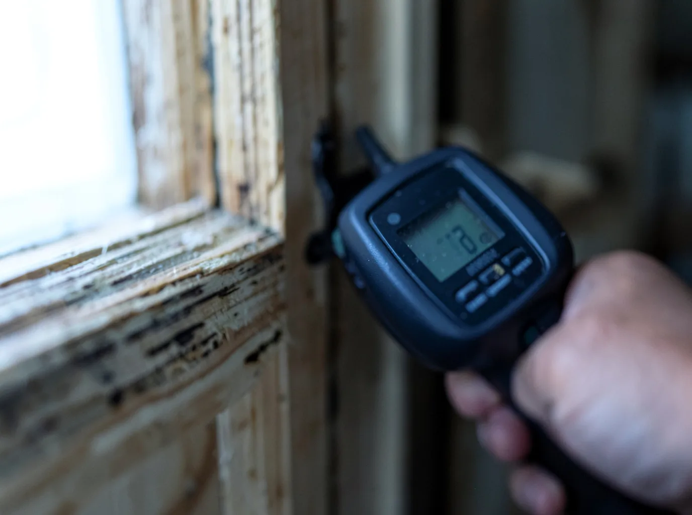 Moisture Inspection And Documentation in Russellville, KY